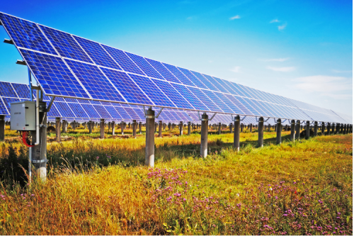 九洲集團(tuán)：創(chuàng)新引領(lǐng)企業(yè)高質(zhì)量發(fā)展，2022年一季度實(shí)現(xiàn)“開門紅?”