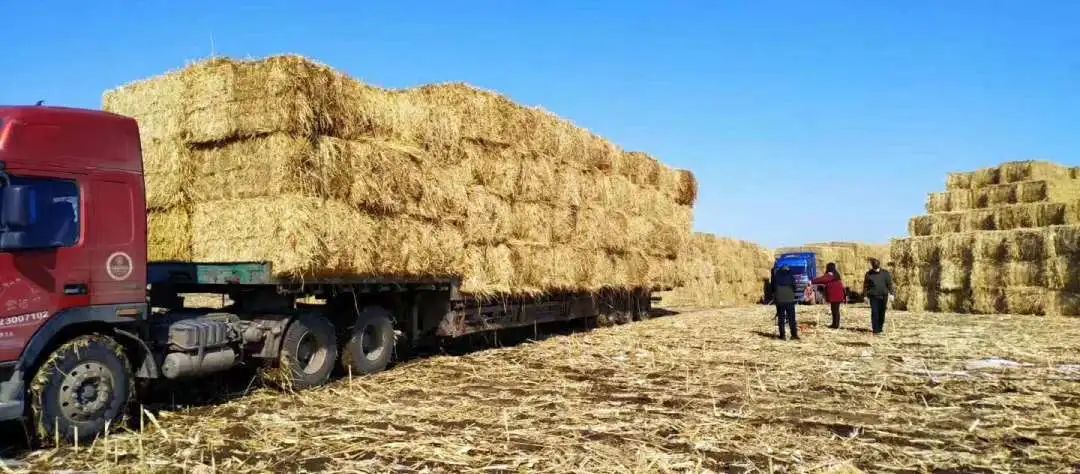 1683679100101544.jpg 微信圖片_20230510083720.jpg